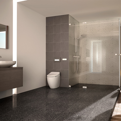 Smart Japanese bidet shower toilet