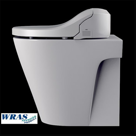 ZER-7035: Washing Toilet with remote control