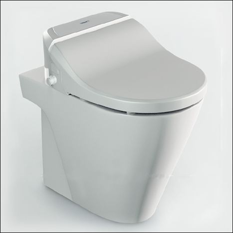 ZER-7035: Washing Toilet with remote control