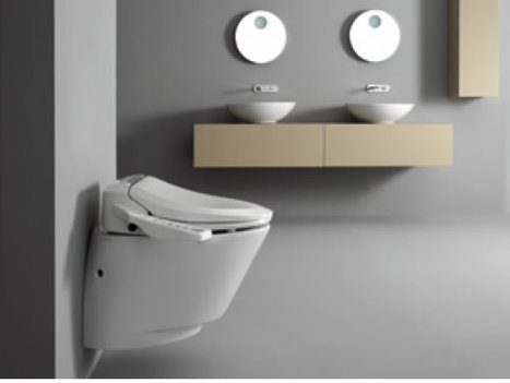 UB-6210: Round Style Toilet Bidet Seat