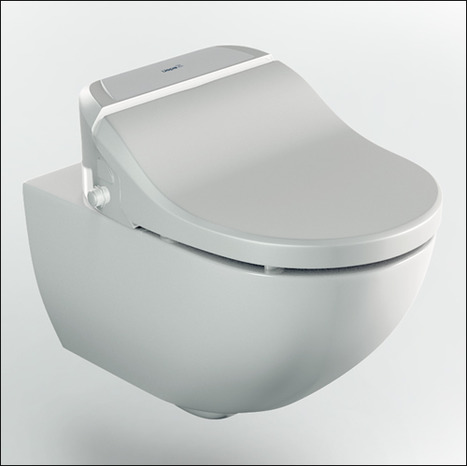 SFR-7035: RIMLESS Washing Shower Toilet with Remote Control