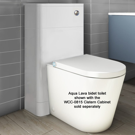 Japanese style smart toilet bidet