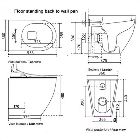 Floor Standing Back to Wall Non-Electric Bidet Toilet