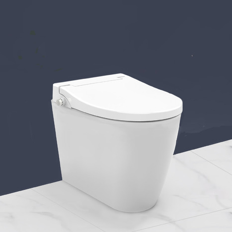 Floor Standing Back to Wall Non-Electric Bidet Toilet