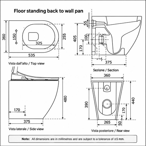 Floor Standing Back to Wall Non-Electric Turkish style Bidet Toilet