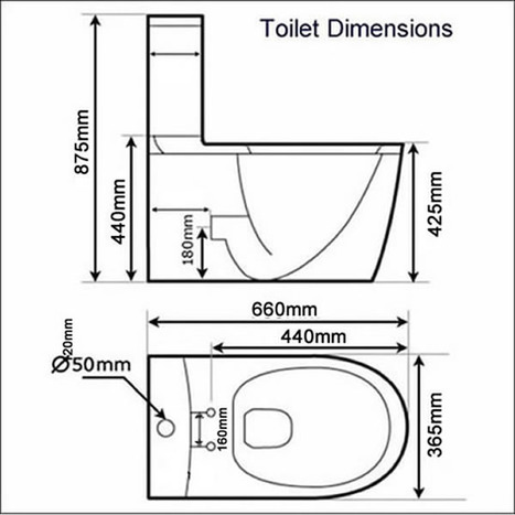 CCP-8000-SH: Smart Bidet Shower Toilet