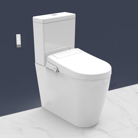 CCP-6500-CH: Extra High Comfort Height Bidet Shower Toilets