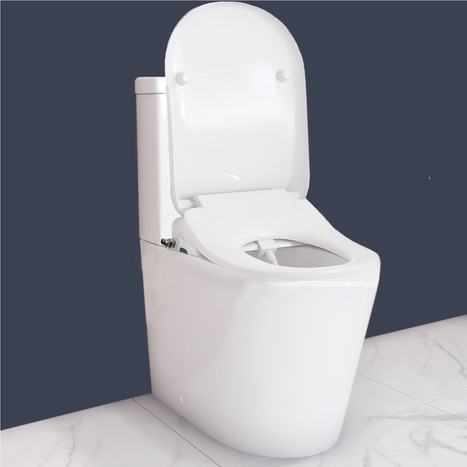 CCP-6300-CH: Bidet Shower Washing Toilet