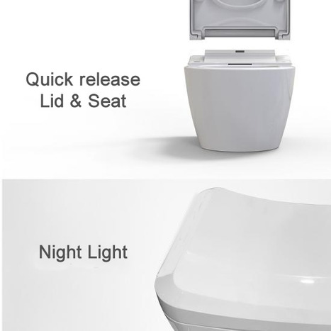 CCP-6500-SH Smart wash and dry bidet shower toilet