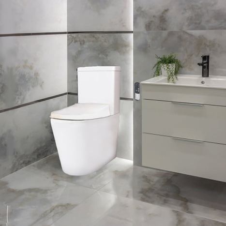 CCP-6600-SH Smart wash and dry bidet shower toilet