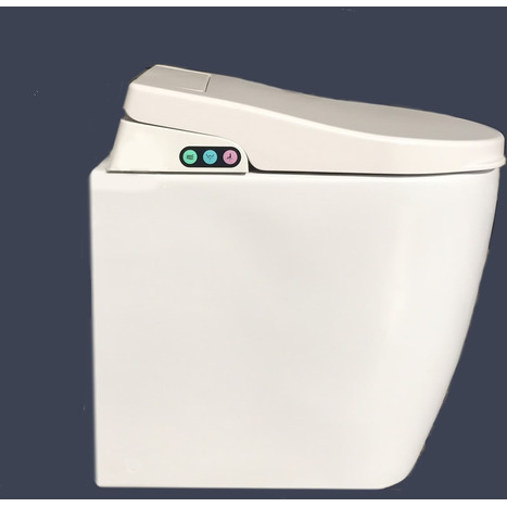 Bidet shower toilet: Floor standing back to wall: GFR-6600-CH