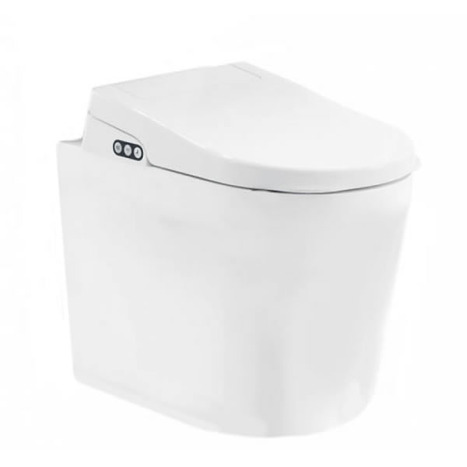 Bidet shower toilet: Floor standing back to wall: GFR-6600-CH