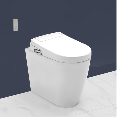 Bidet shower toilet: Floor standing back to wall: GFR-6600-CH