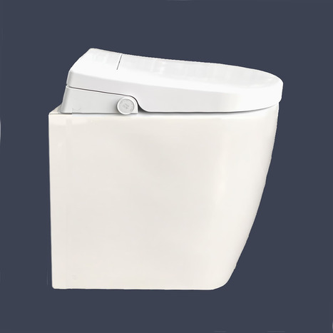 Bidet shower toilet: Floor standing back to wall: GFR-6500-CH