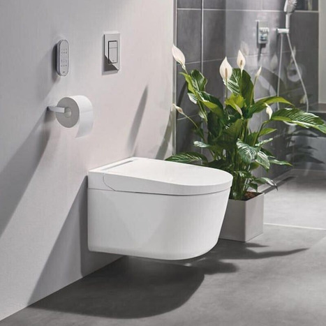 Grohe Sensia Pro 36508SH  Smart Japanese bidet shower toilet