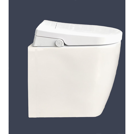 Smart Bidet shower toilet: Floor standing back to wall: GFR-6500-SH