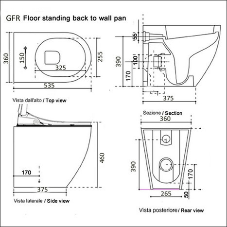 Smart Bidet shower toilet: Floor standing back to wall: GFR-6500-SH