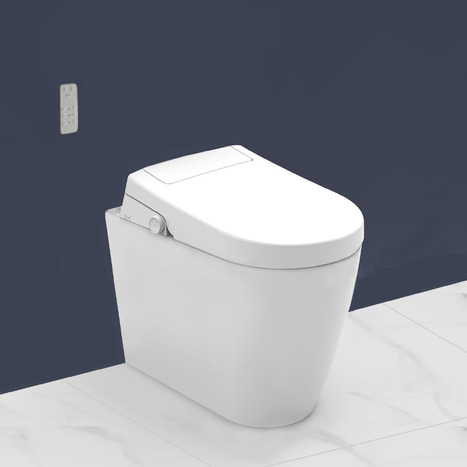 Smart Bidet shower toilet: Floor standing back to wall: GFR-6500-SH