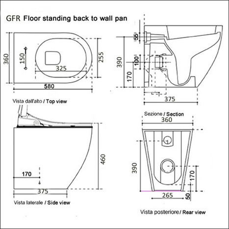 Smart Bidet shower toilet: Floor standing back to wall: GFR-6500-SH