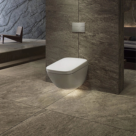 TOTO Neorest WX1 Washlet