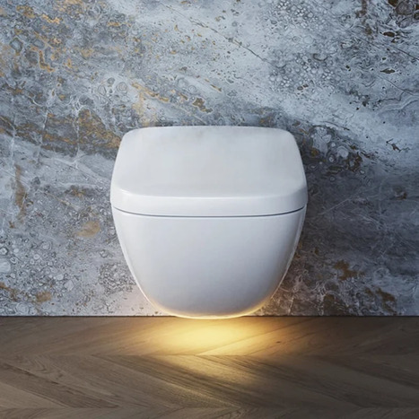 Complete set: Toto Neorest WX1 Washlet + Toto wall frame with Automatic Flush + Flush Plate and connection kit