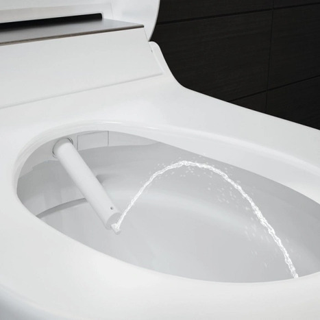 Geberit AquaClean Tuma Comfort Soft Close Toilet Seat Enhancement White Glass: 146.278.SI.1