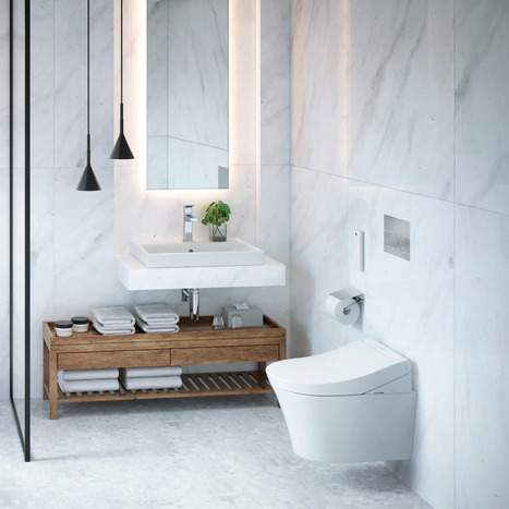 Toto RG wall-hung rimless pan and washlet