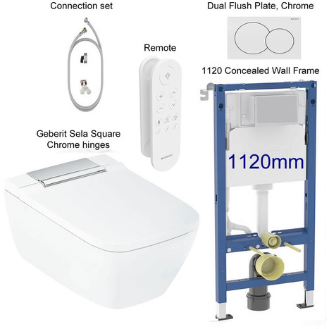 Complete set: Geberit AquaClean Sela Square Shower Toilet Chrome Hinge + Geberit wall frame with Flush Plate and connection kit