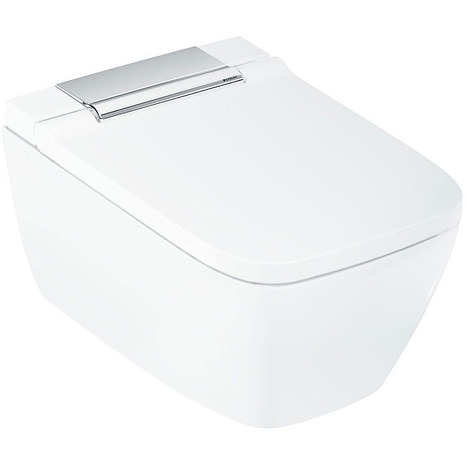 Complete set: Geberit AquaClean Sela Square Shower Toilet Chrome Hinge + Geberit wall frame with Flush Plate and connection kit