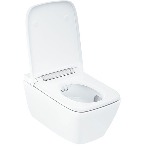 Complete set: Geberit AquaClean Sela Square Shower Toilet Chrome Hinge + Geberit wall frame with Flush Plate and connection kit