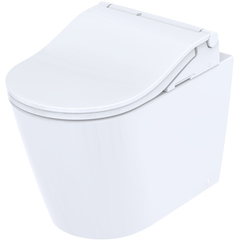 Complete set: Toto Floor Standing RW Washlet + Toto In-Wall Cistern with Automatic Flush + Flush Plate and connection set