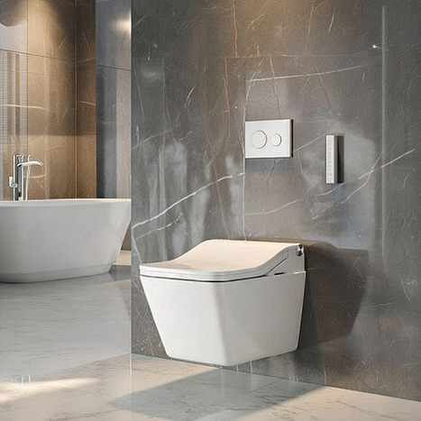 TOTO WASHLET SW Auto Flush shower Toilet Bundle