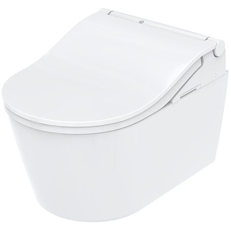 Complete set: Toto RW Washlet + Toto wall frame with Manual Flush + Dual Flush Plate and connection kit