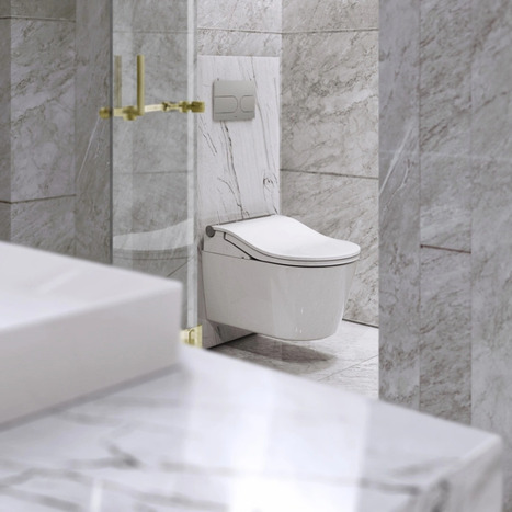 Complete set: Toto RW Washlet + Toto wall frame with Manual Flush + Dual Flush Plate and connection kit