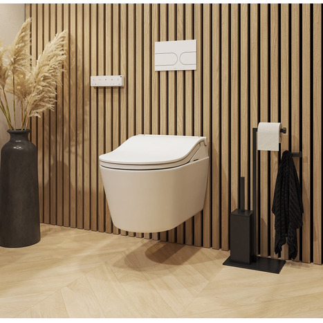 Complete set: Toto RW Washlet + Toto wall frame with Manual Flush + Dual Flush Plate and connection kit