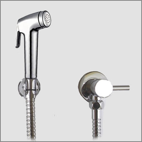 KIT1266: Controllable Surface Mounted Warm Water Bidet Shower