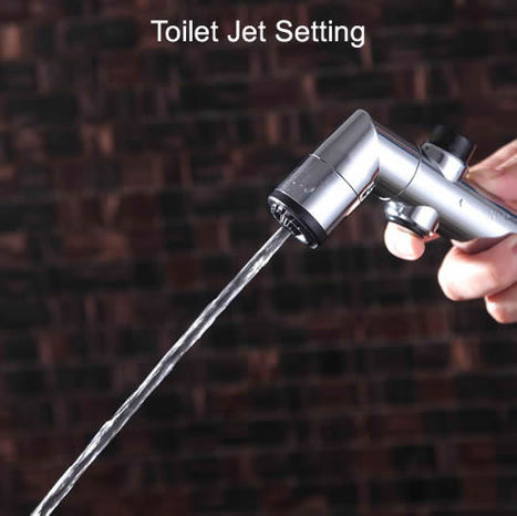 ERG2000: Combination Bidet Shower & Toilet Jet Cleaner