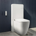 GMF-7035: Japanese Shower Toilet with monolith cistern cabinet