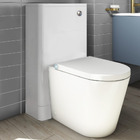 BTC-7035 Remote control shower toilet