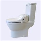 CCP-7035-CA Back to wall bidet toilet open back