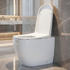 Japanese style smart toilet bidet