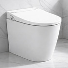 Floor Standing Back to Wall Non-Electric Turkish style Bidet Toilet