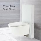TMW-7035: Touchless Flush Monolith Wall Hung Smart Japanese Shower Toilet