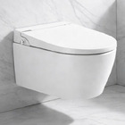 Wall Hung Non-Electric Turkish style Bidet Toilet