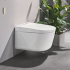 Grohe Sensia Pro 36508SH  Smart Japanese bidet shower toilet