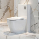 GMF-7235: Japanese Shower Toilet with reduced height monolith cistern cabinet