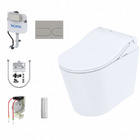 Complete set: Toto Floor Standing RW Washlet + Toto In-Wall Cistern with Automatic Flush + Flush Plate and connection set