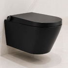 AS-1600-WH Matt Black wall hung Smart Bidet Shower toilet