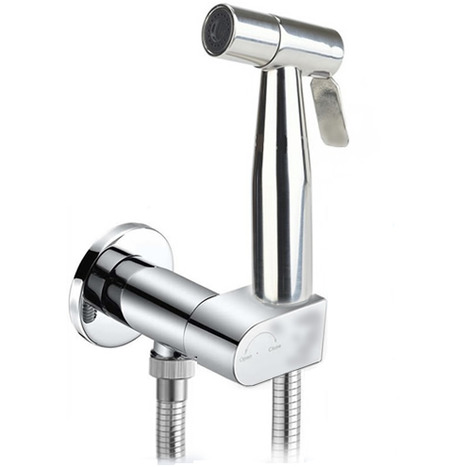 KIT6180: Pre-Set Thermostatic bidet shower kit with auto prompt water ...