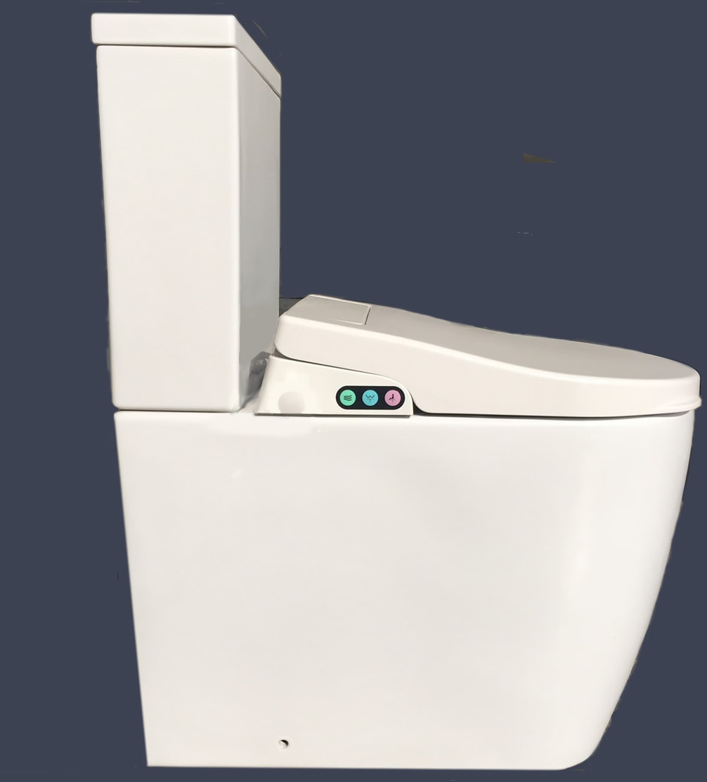 CCP6500CH Extra High Comfort Height Bidet Shower Toilets